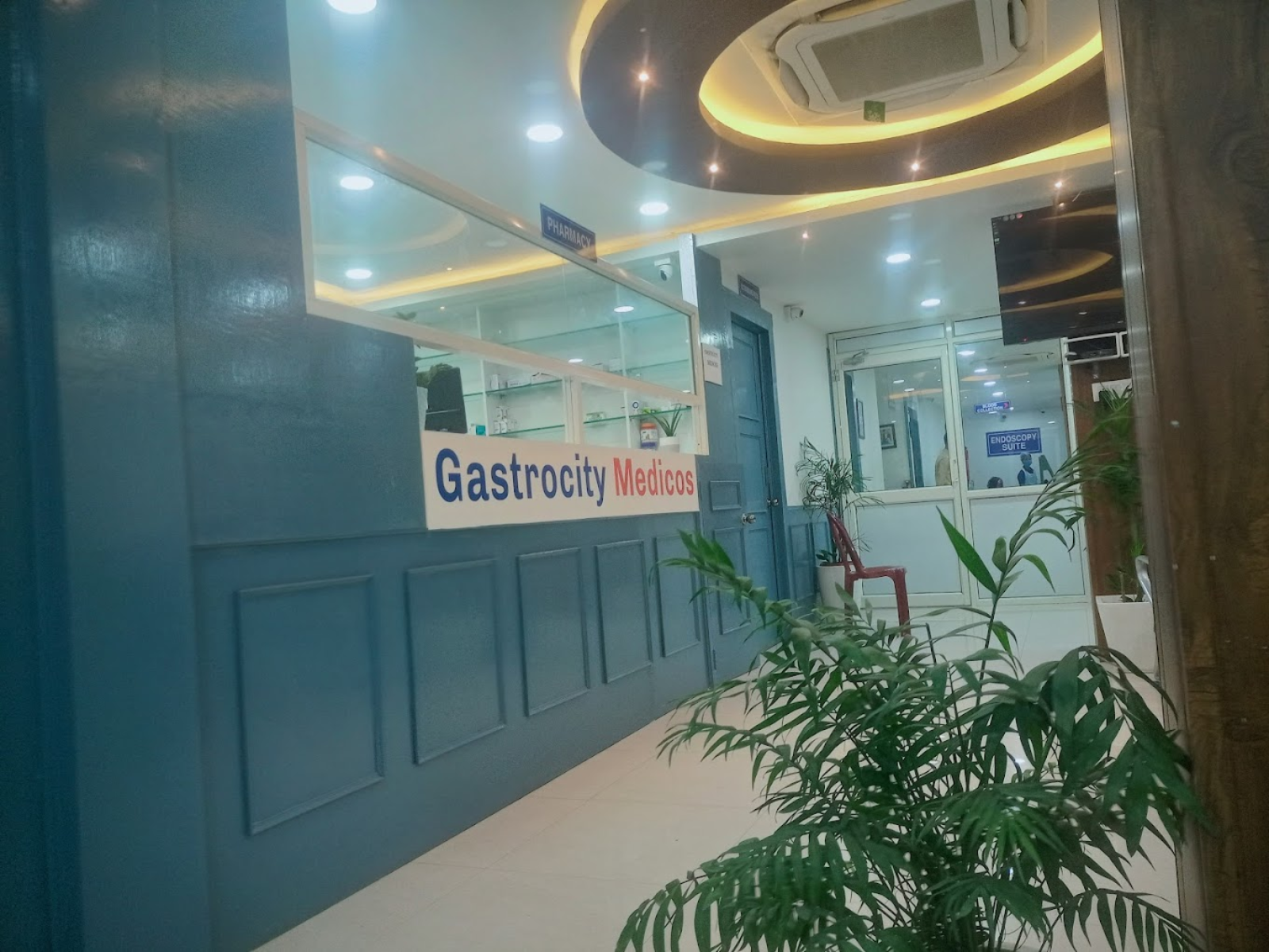 Modern Pharmacy Section